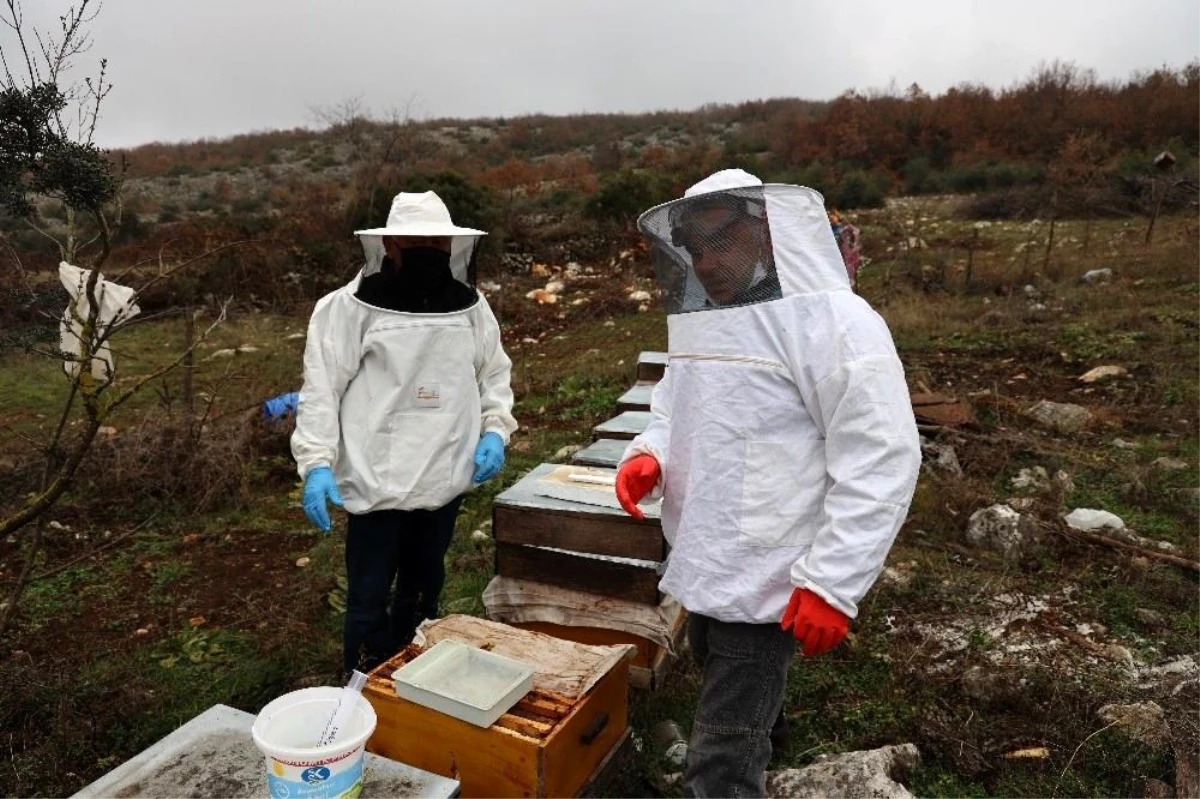 Arı kolonisinde "varroa" hastalığı tespit edilen üreticinin arıları kurtarıldı