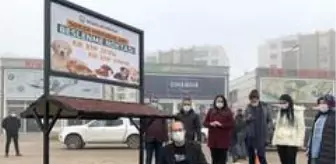 Bismil Belediyesi sokak hayvanlarını yalnız bırakmadı