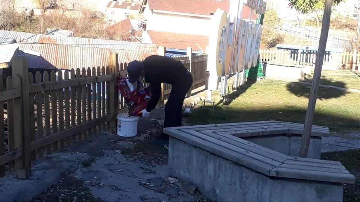 Çukurca Belediyesinden sokak hayvanlarına mama desteği