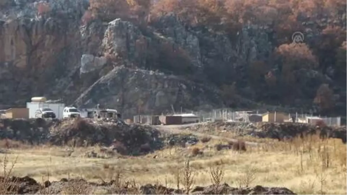 "Evlatlarım" dediği sokak köpeklerine, açtığı barınağında bakıyor