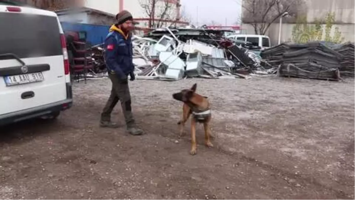 "Hassas burunlar", Bolu Dağı\'nda "zehir tacirlerine" geçit vermiyor