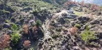 Koyunları yangında telef olan aileyi Bakan Pakdemirli sevindirdi