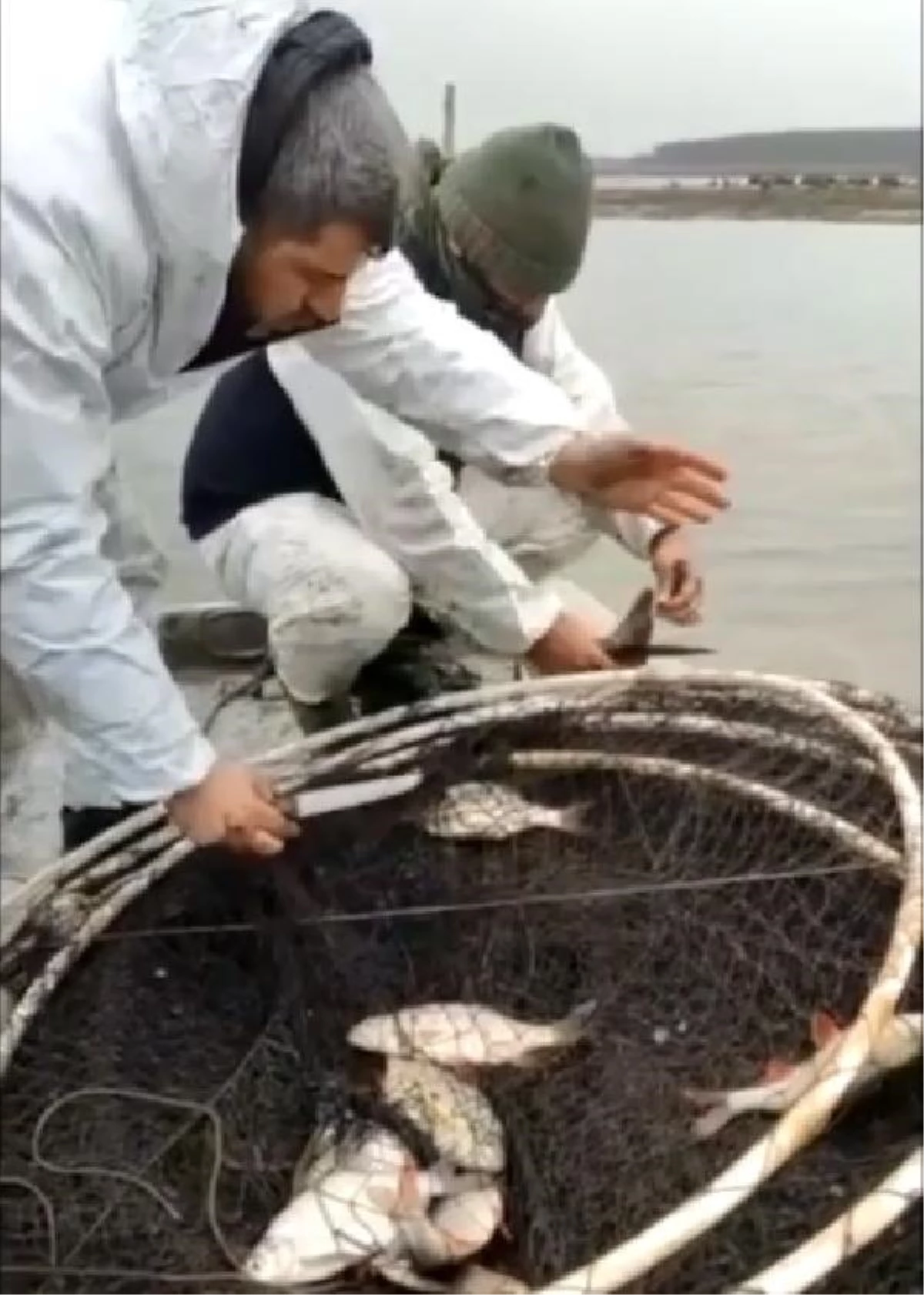 Son dakika haberi... Terkos Gölü\'nde yasa dışı avlanan 2 ton balık suya bırakıldı
