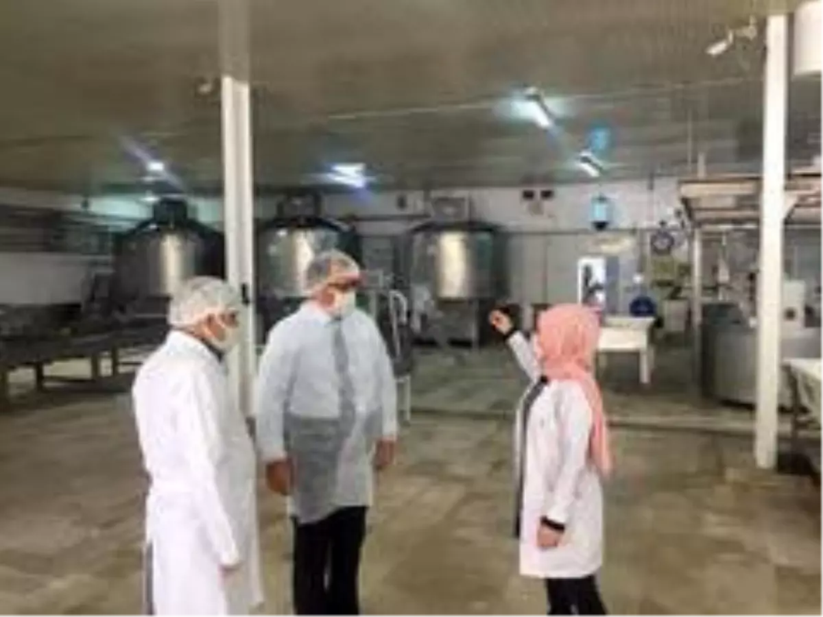 Altıntaş, Süt İşletmeleri\'nde incelemelerde bulundu