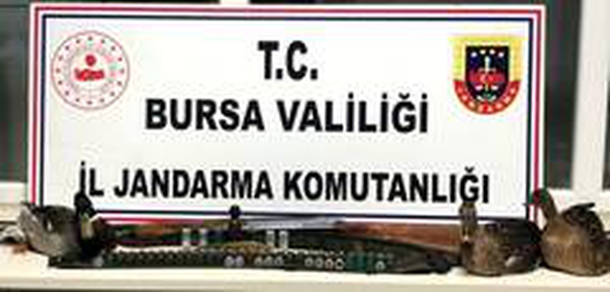 Ava giden avcılar gelirken jandarmaya av oldular