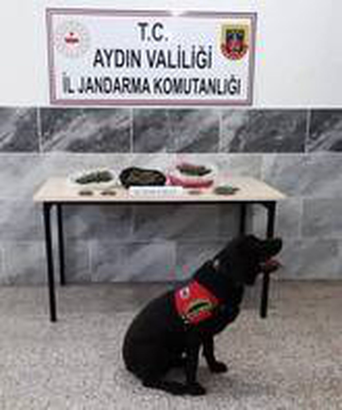 Aydın\'da 250 gram kubar esrar ele geçirildi