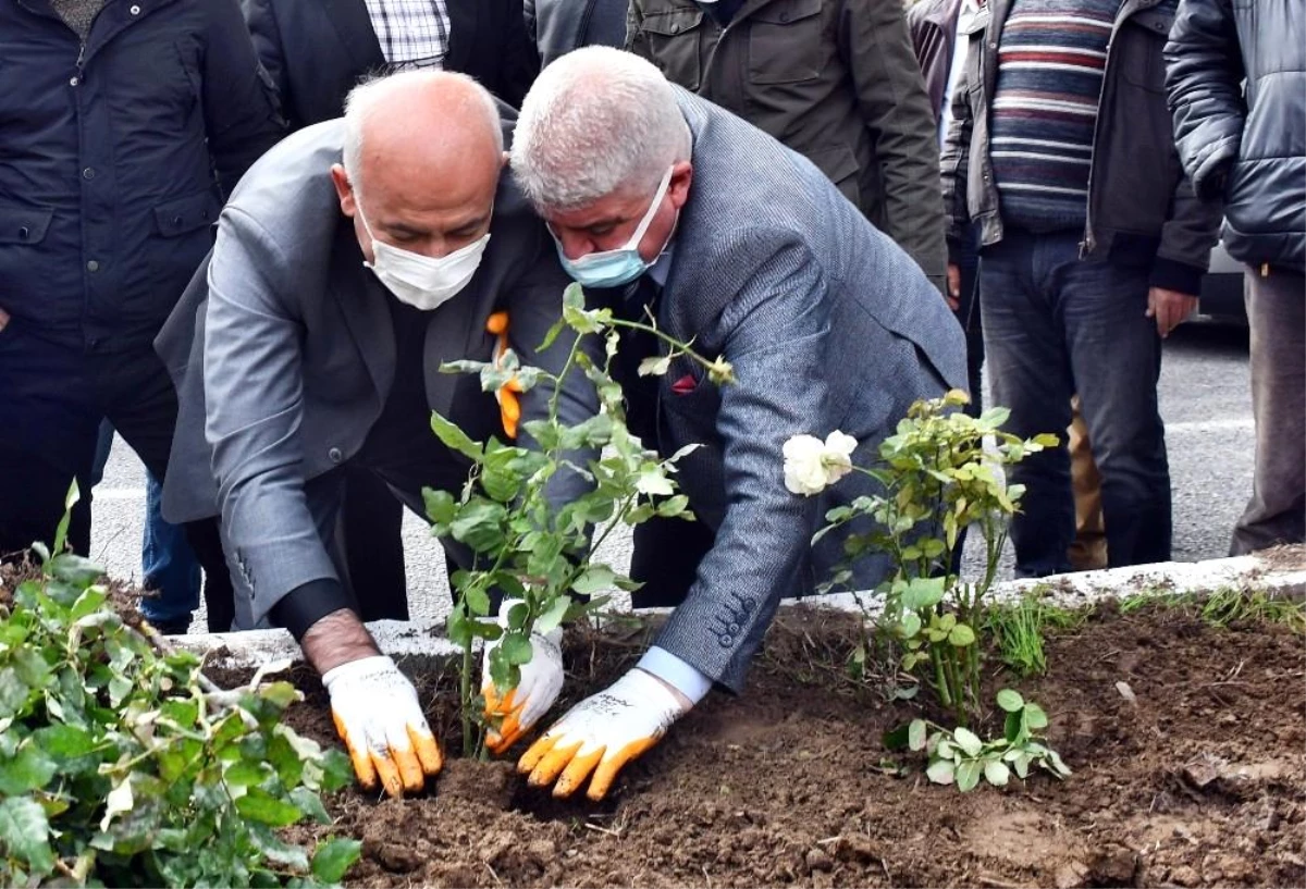 Güllübahçe Mahallesi yıllar sonra adını aldığı güllerine kavuşuyor