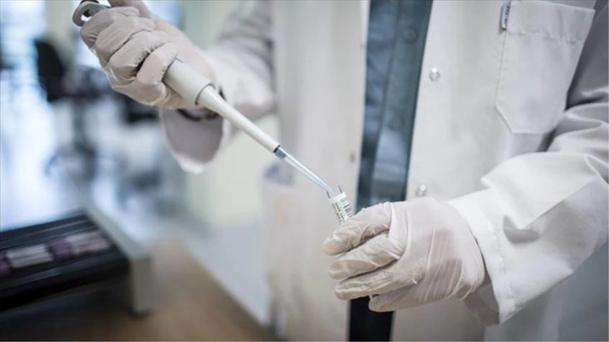 Son Dakika: Avrupa İlaç Ajansı, Pfizer/BioNTech\'in geliştirdiği koronavirüs aşısına şartlı onay verdi