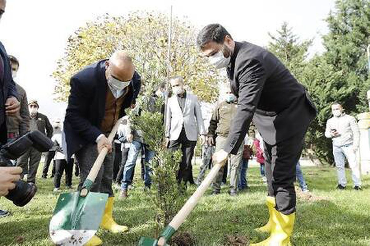 2020 yılında Kağıthane\'ye bin 531 ağaç dikildi