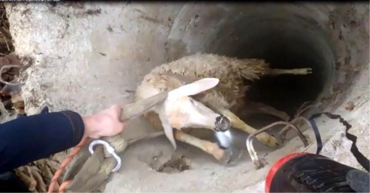 Son dakika haberleri: 30 metre derinlikteki kuyuya düşen koyunu itfaiye kurtardı
