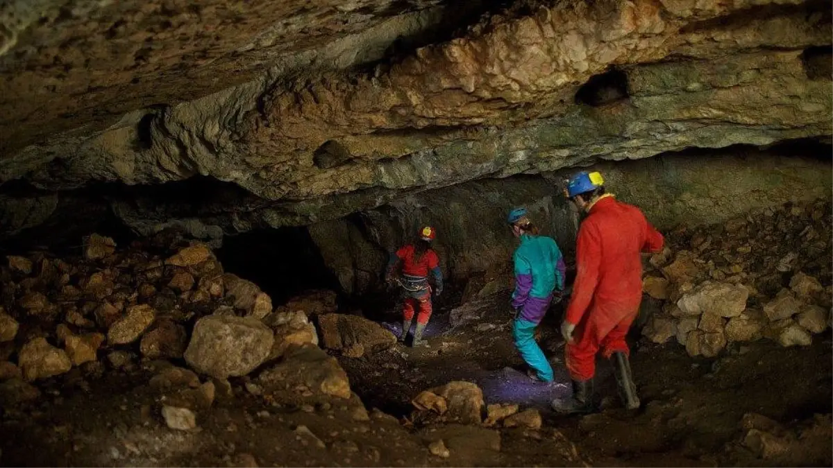 İlk insanlar kış uykusuna yatmış olabilir