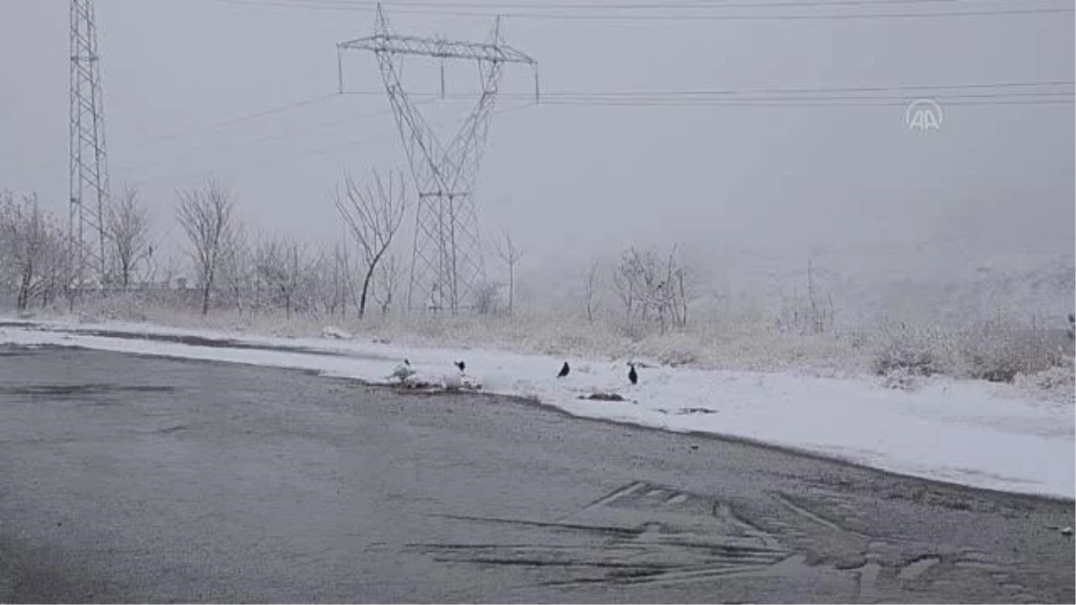 Van, Bitlis ve Muş\'ta kar etkili oldu