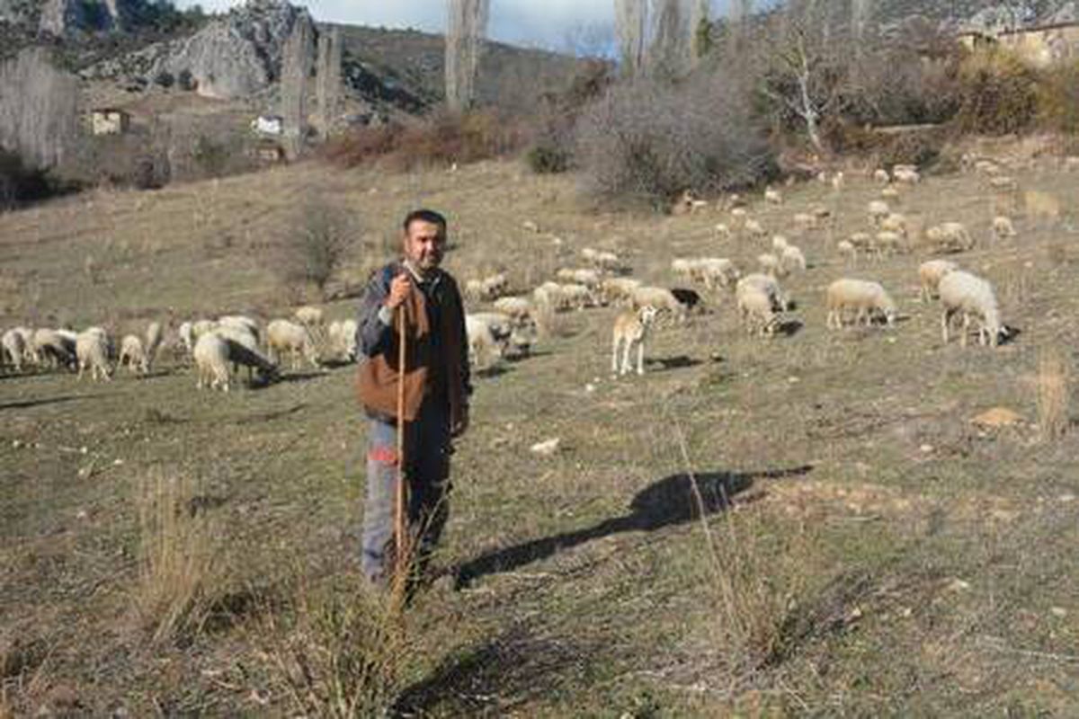 Son dakika haberi... Koronavirüsten kaçtı, 9 aydır köyde yaşıyor