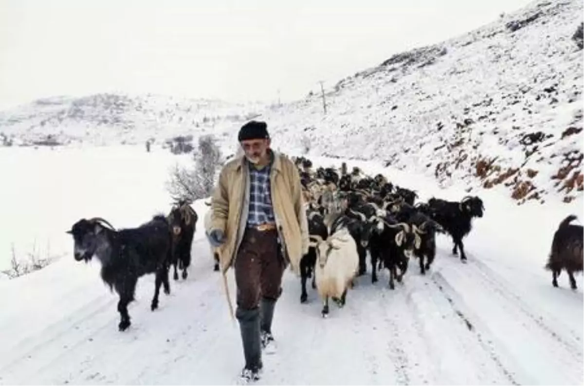 Tunceli\'de kar yağışı hayatı olumsuz etkiledi