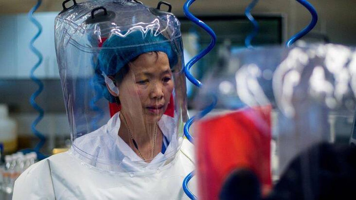Wuhan\'da koronavirüsü yaydığı iddia edilen laboratuvardan Prof. Shi: Ziyarete açığız