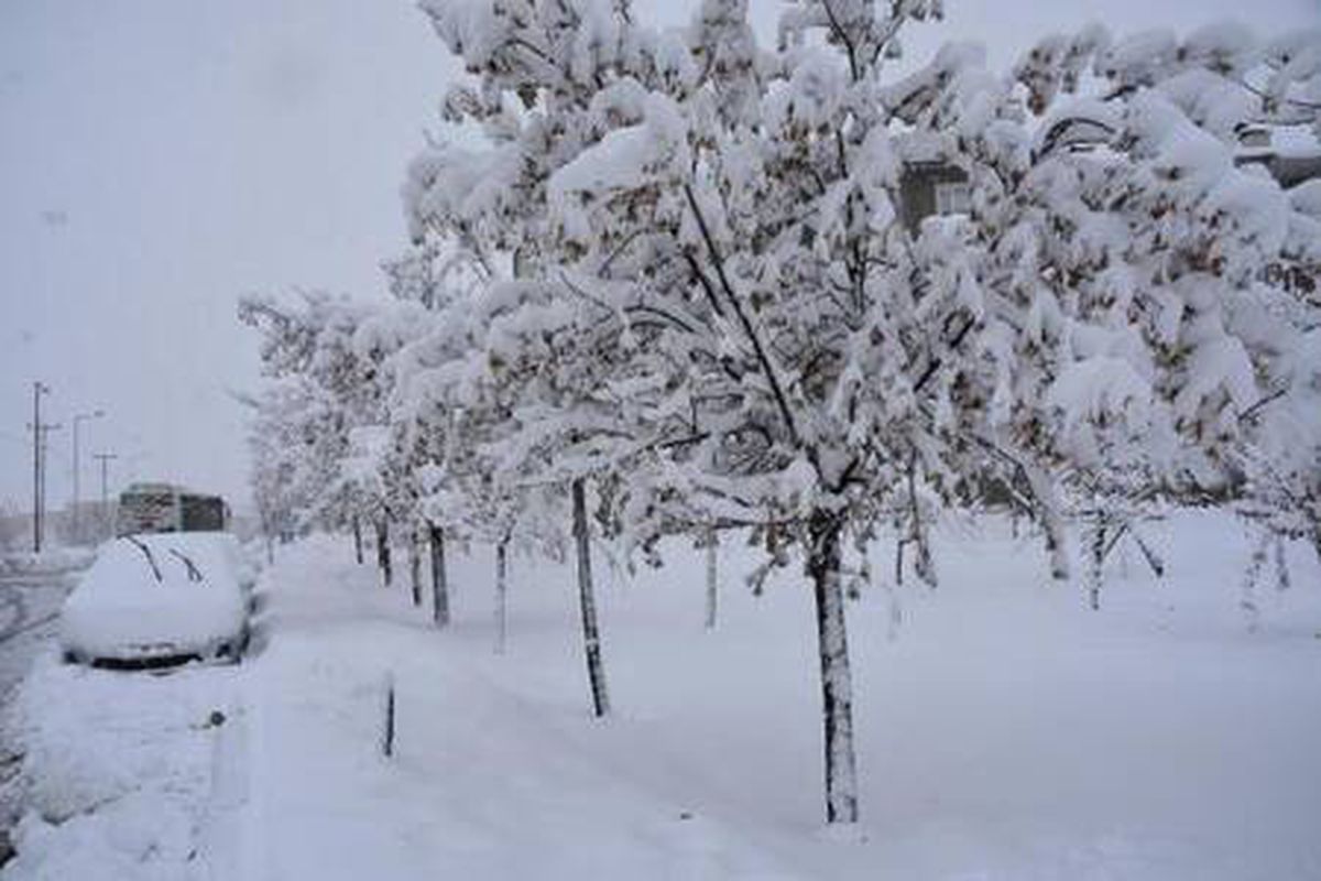 Bitlis\'te 224 köy yolu kardan kapandı