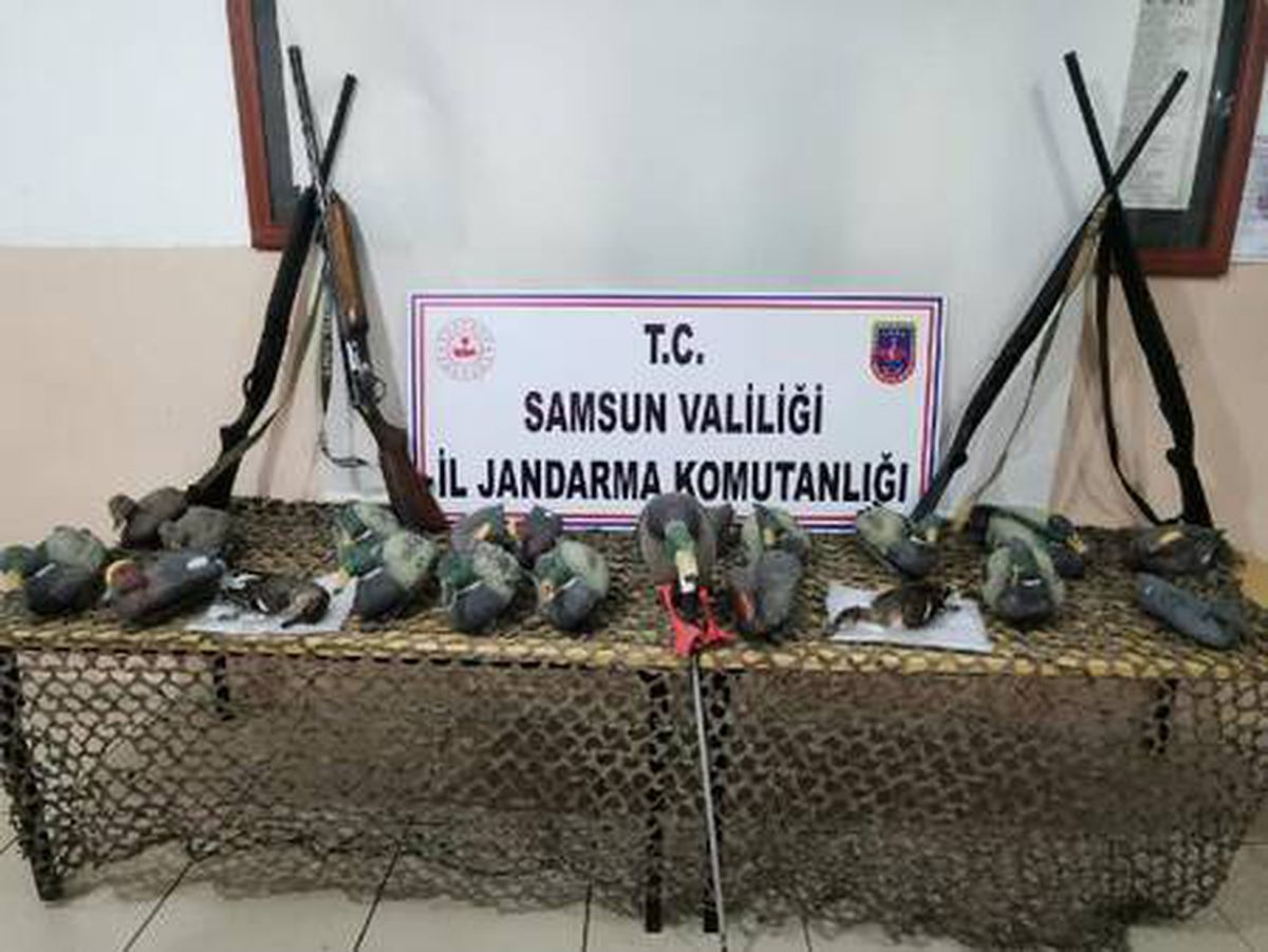 Samsun'da, 4 kişinin kaçak ördek avına 11 bin 172 lira ceza
