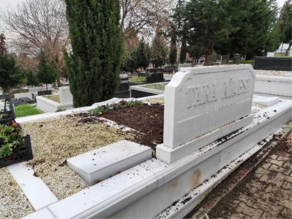 Son dakika haberleri | Şarık Tara\'nın babalık davası nedeniyle mezarı açıldı