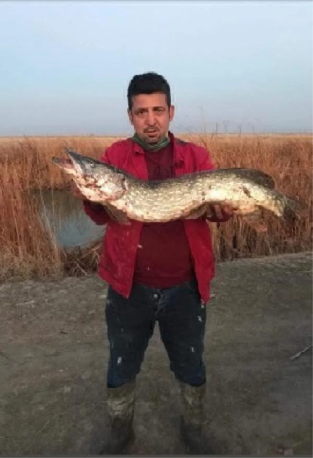 13 kiloluk turna balığı yakaladı