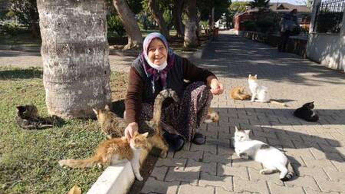 65 yaşındaki kadın, 13 yıldır sokaktaki kedileri besliyor
