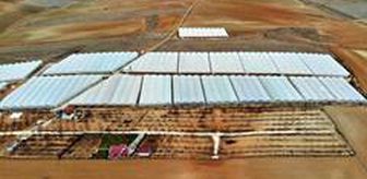 Bozkırın ortasında kurduğu seralarla kendi işinin patronu oldu