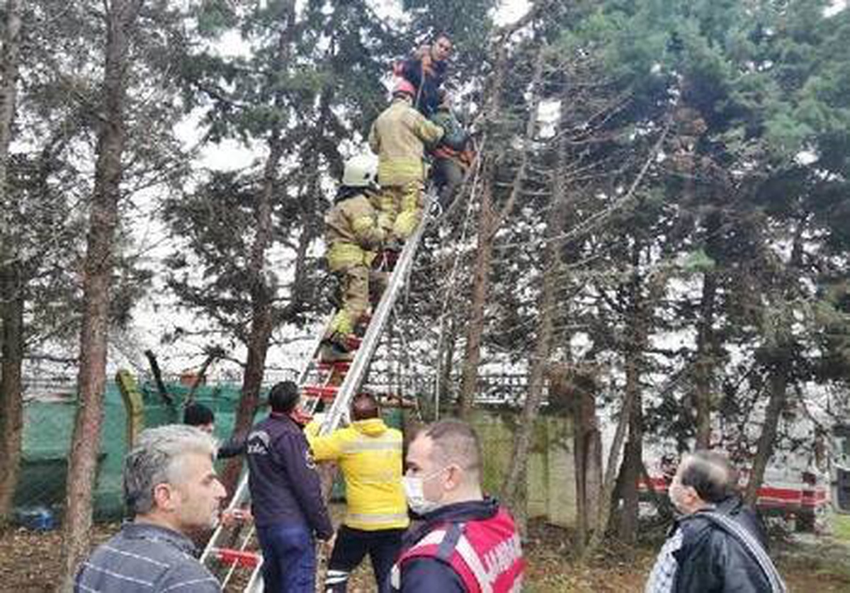 Silivri\'de ağaç budarken elektrik akımına kapılan kişi ağır yaralandı