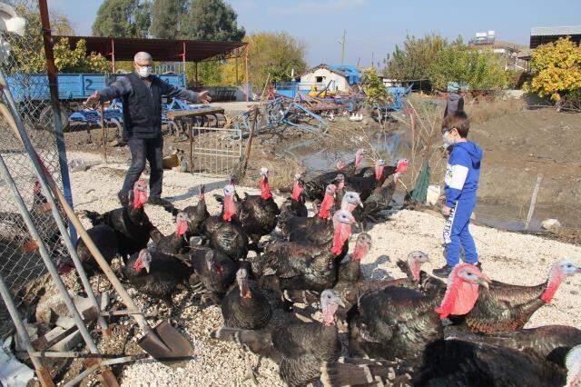 Torunun hindi sevgisi dedeyi yeni bir meslek sahibi yaptı