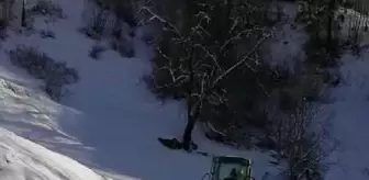 Artvin'de kardan kapalı yollar ulaşıma açıldı