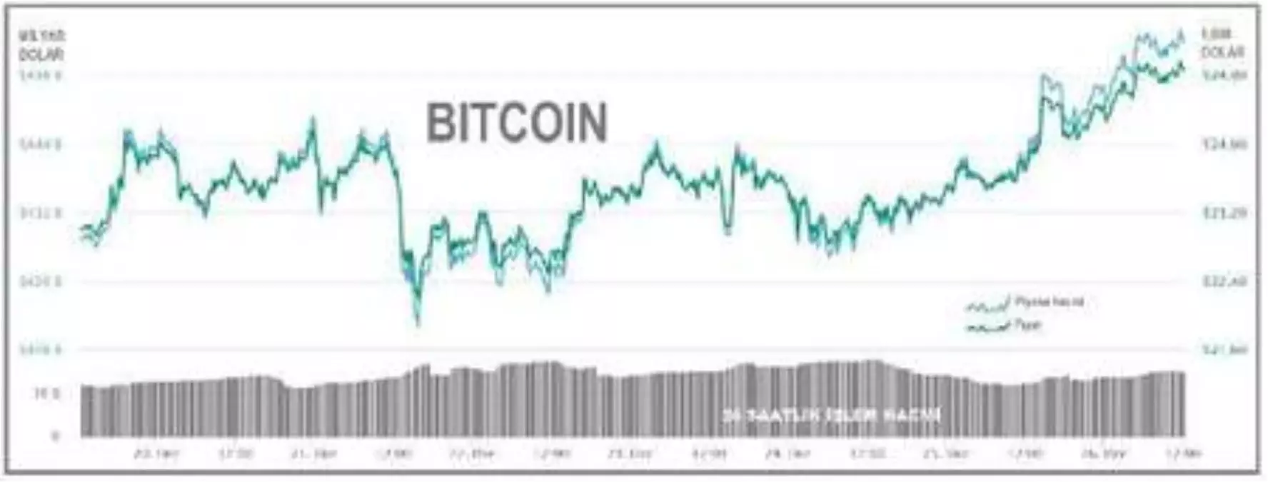 Bitcoin 24,967 dolarlık yeni zirveyi gördü - Haberler