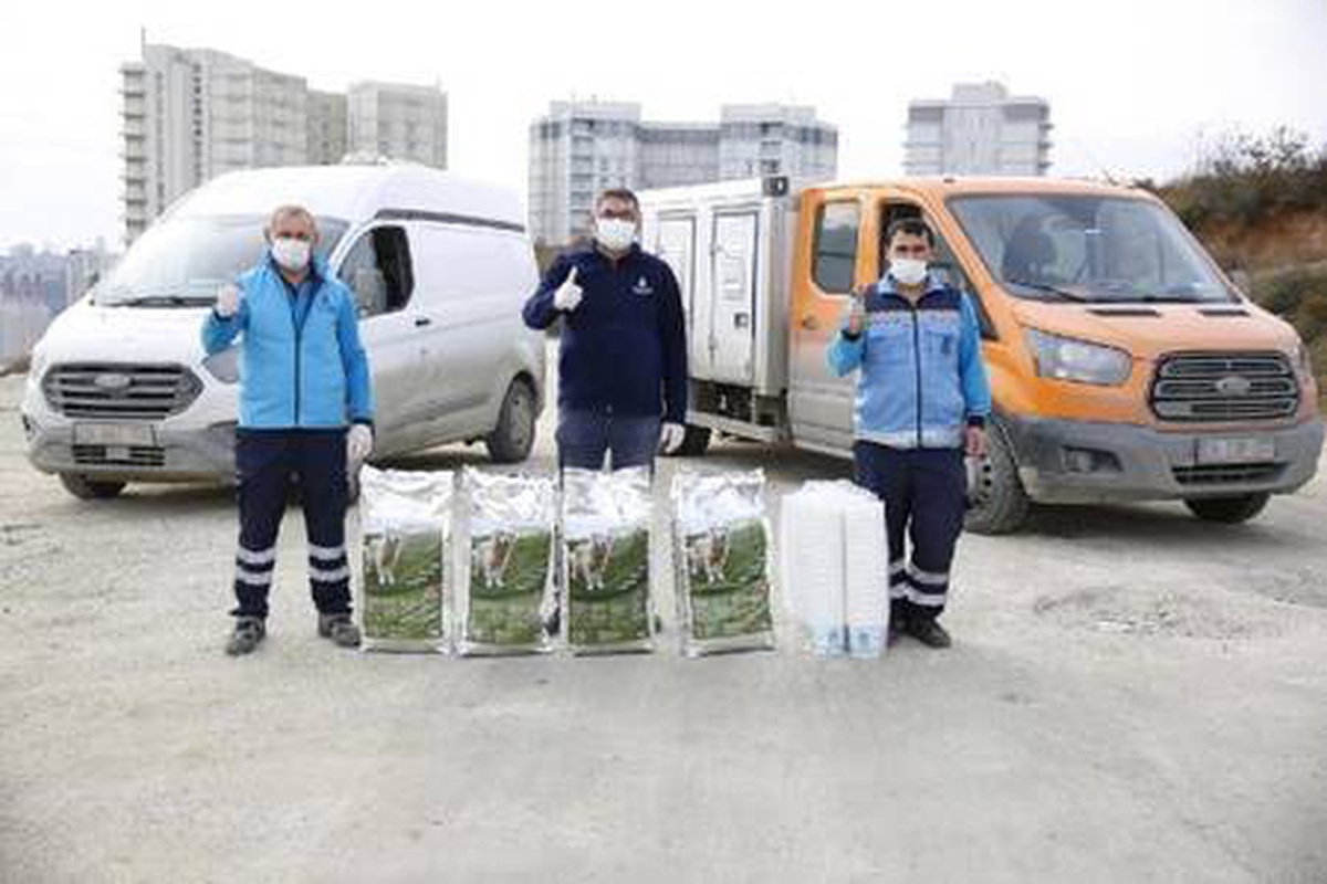 Sokağa çıkma kısıtlamasında sokak hayvanları unutulmadı