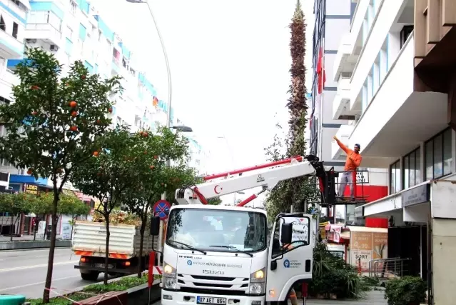 Gidecek Yerim Yok Diyen Vatandasa Sokaga Cikma Yasagini Ihlalden Ceza Yazildi Son Dakika