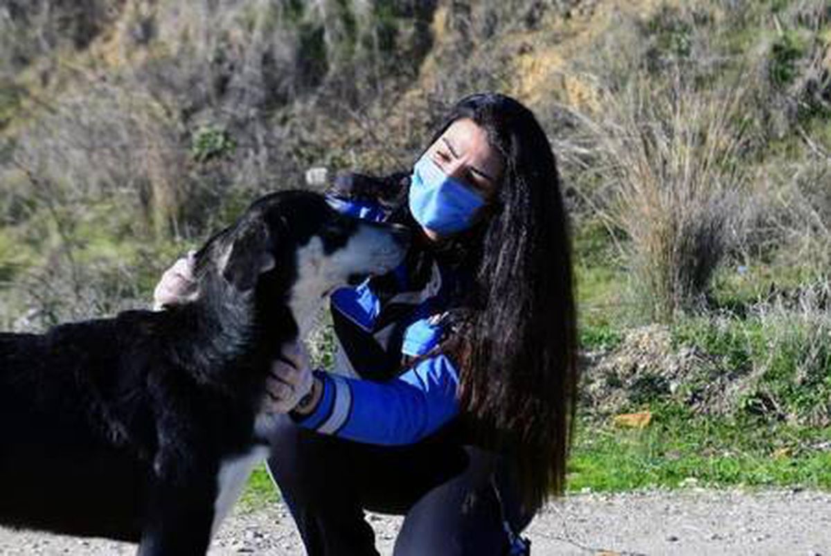 Son dakika haber | Adana polisi, kısıtlamada sokak hayvanlarını unutmadı