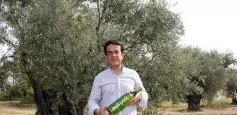 Antalya'nın binlerce yıllık kadim zenginliği; zeytin