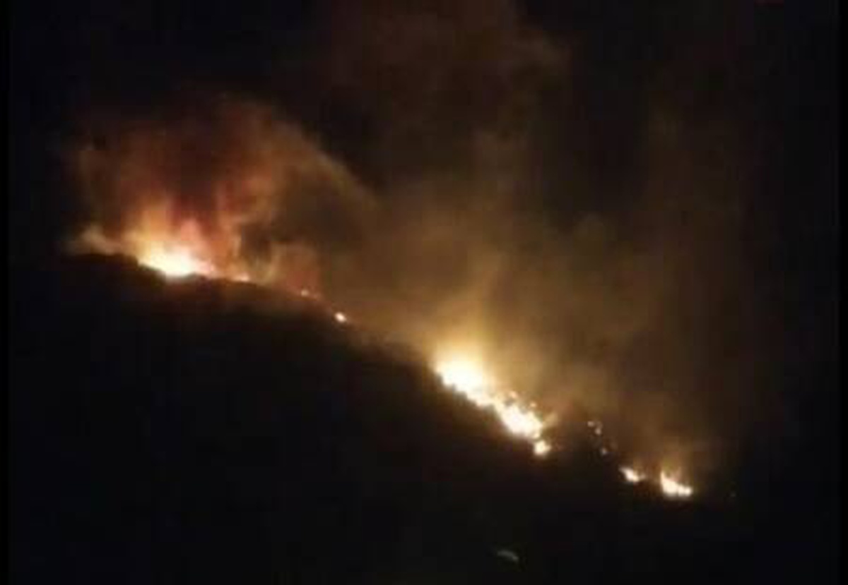 Hatay\'da, 4 farklı noktada ağaçlık bölgede yangın