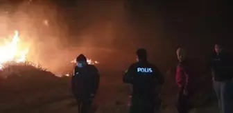 Son Dakika | İznik'te sazlık alanda yangın