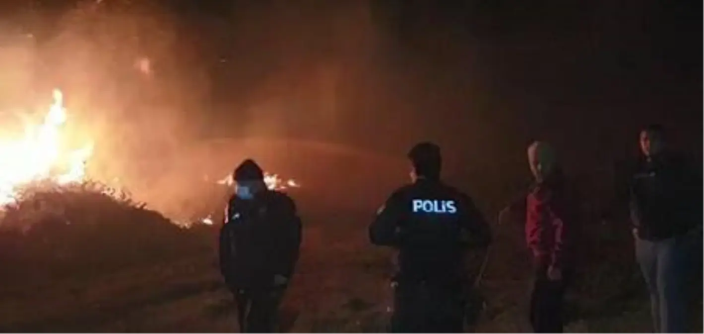 Son Dakika | İznik'te sazlık alanda yangın