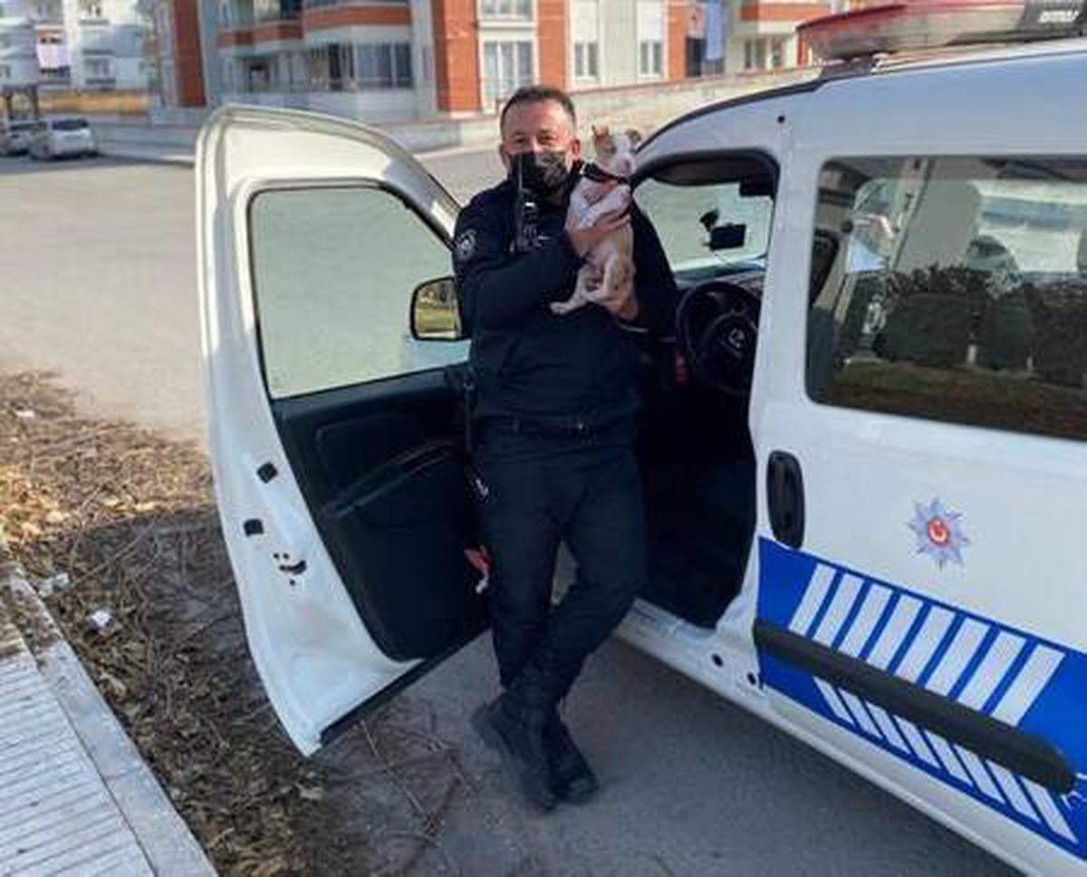 Son dakika haberi | Kayıp yavru köpeği polis buldu
