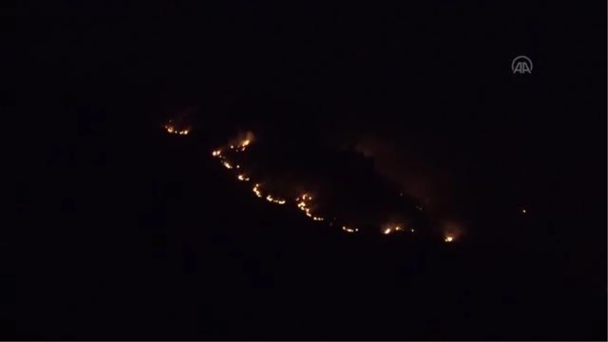 Son dakika haber! Orman yangınına ekipler müdahale ediyor