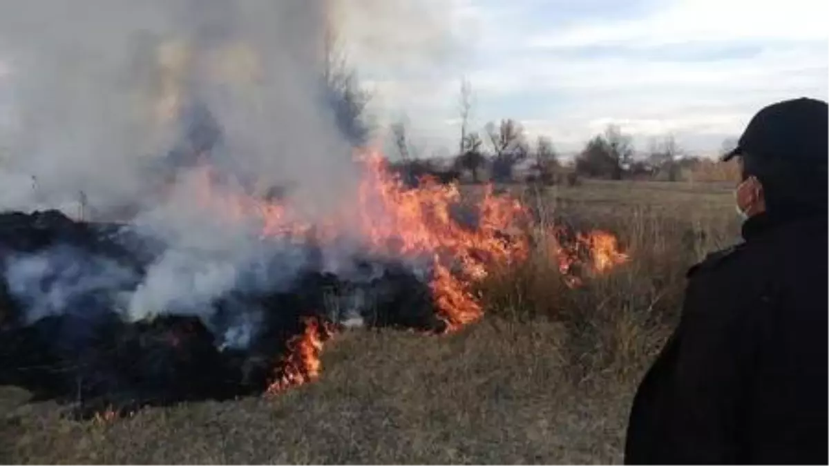 Tavşanlı'daki anız yangını, hayvanseverlerin ihbarıyla söndürüldü