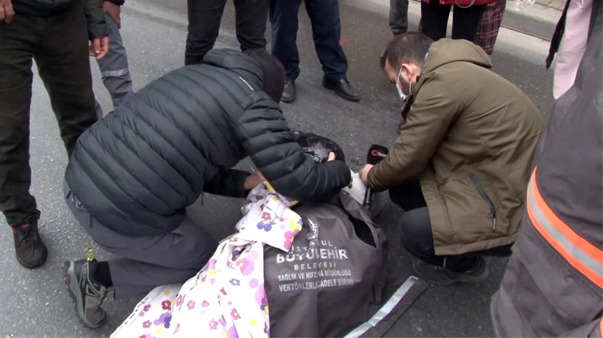 Son dakika haberleri... Ataşehir\'de kaza yapan motosikletli kadının yardımına gazeteci yetişti