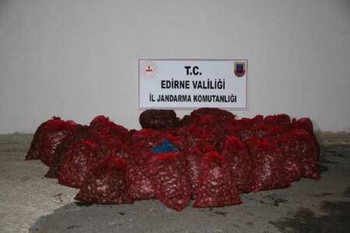 Son dakika haberi | Edirne\'de 1 ton kaçak midyeye 101 bin lira ceza