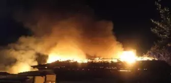 Gölcük'te ahşap ev ile ahır, alev alev yandı