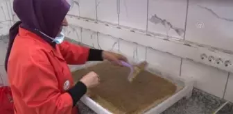 Kadın girişimci kooperatifi kivi ve hurmadan pestil üretiyor