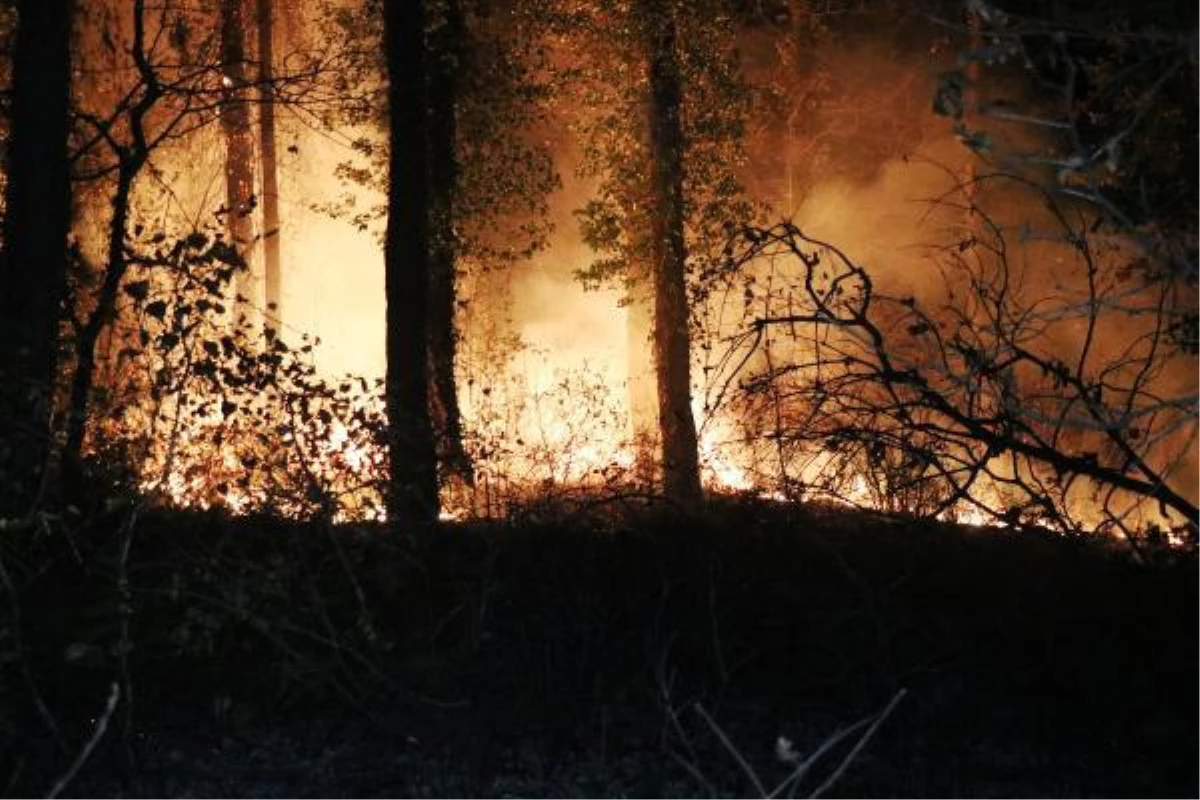 Ormanlık alandaki yangını alkol alan kişiler çıkardı iddiası