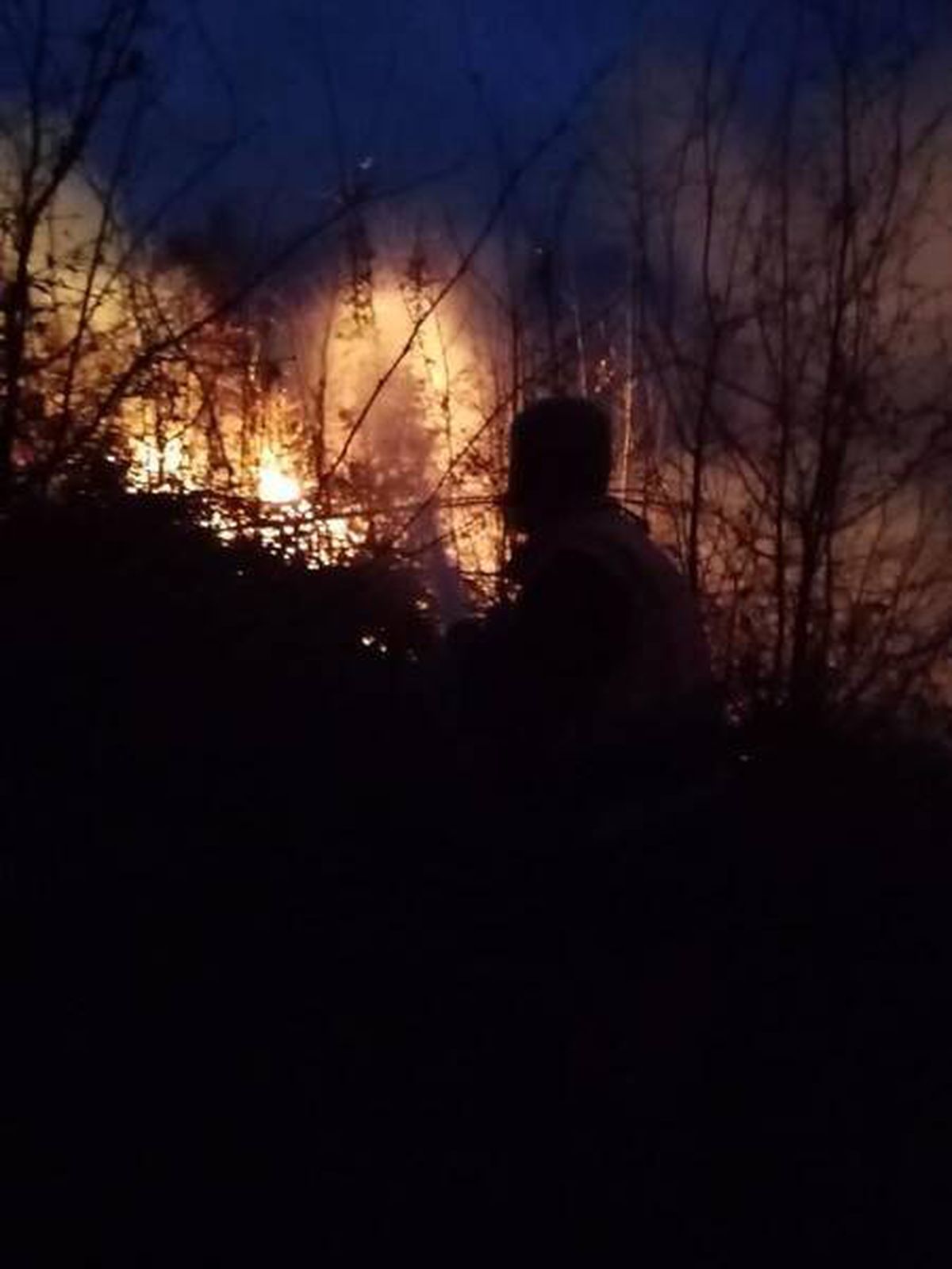 Sakarya'da 10 dönümlük ormanlık alan yandı