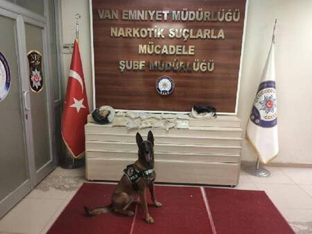 \'Zeyna\' ile aramada iş yerinde eroin ele geçirildi