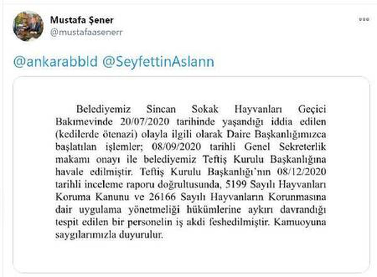 Ankara\'da belediye bakımevinde \'20 kediye ötanazi\' iddiası