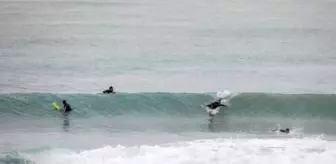 Antalya'da sağanağın zararı büyük (2)