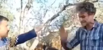 Çanakkale'de ata eziyet eden kişiye ceza kesildi