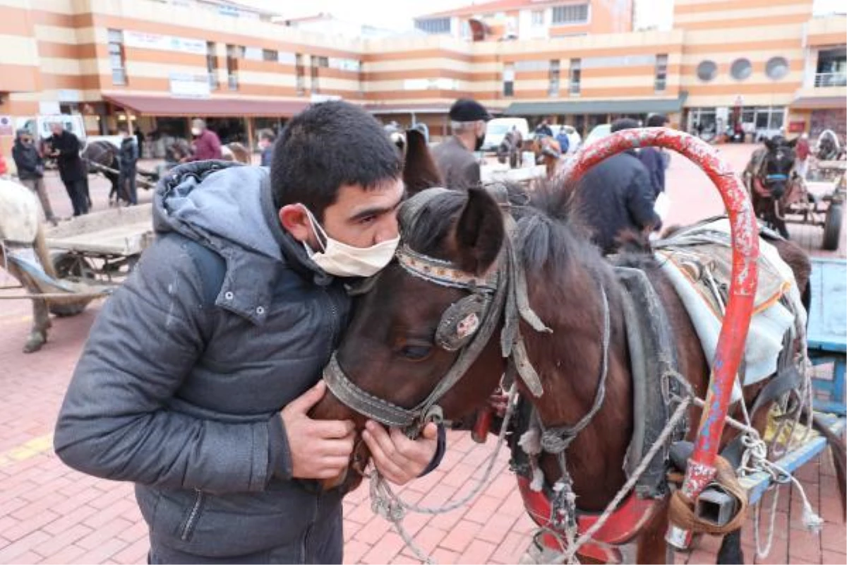 Keşan\'da 104 at arabası, elektrikli triportörle değiştirildi